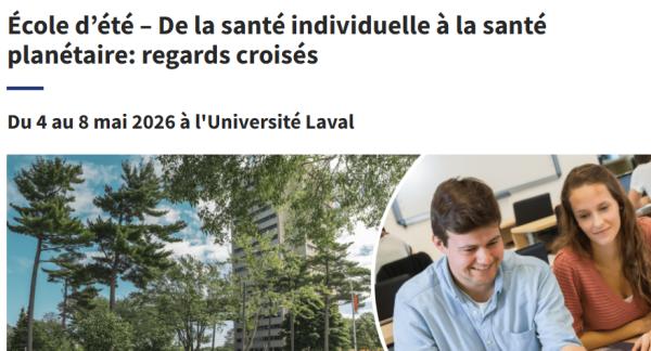 Miniature - Activité